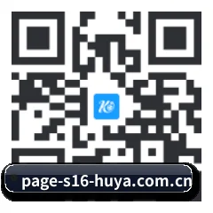 iPhone APP 二维码(S16)